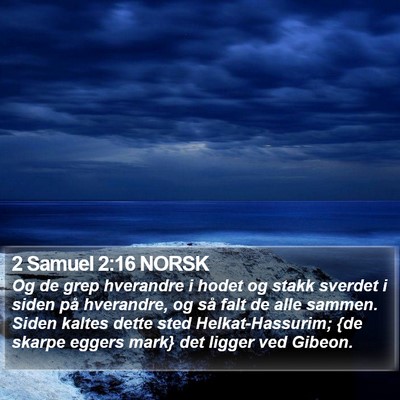 2 Samuel 2:16 NORSK Bible Verse Image