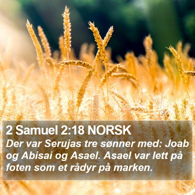 2 Samuel 2:18 NORSK Bible Verse Image