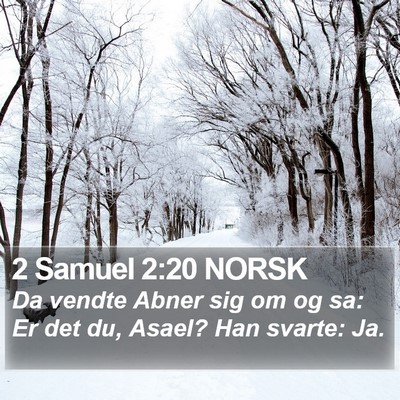 2 Samuel 2:20 NORSK Bible Verse Image