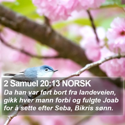 2 Samuel 20:13 NORSK Bible Verse Image
