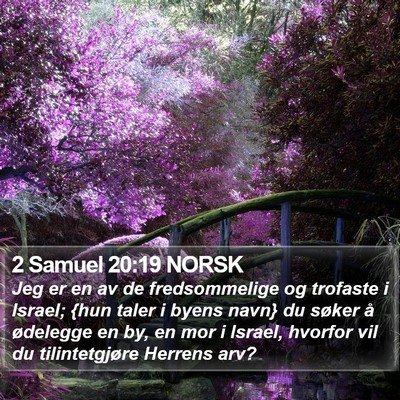 2 Samuel 20:19 NORSK Bible Verse Image