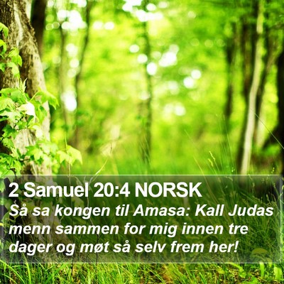 2 Samuel 20:4 NORSK Bible Verse Image