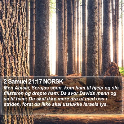 2 Samuel 21:17 NORSK Bible Verse Image