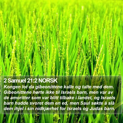 2 Samuel 21:2 NORSK Bible Verse Image