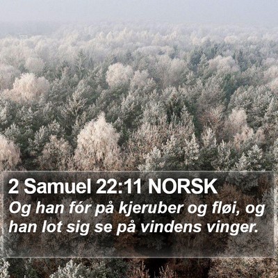 2 Samuel 22:11 NORSK Bible Verse Image
