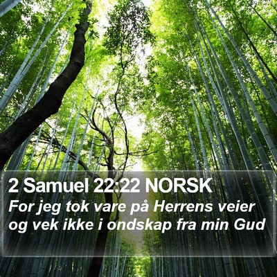 2 Samuel 22:22 NORSK Bible Verse Image