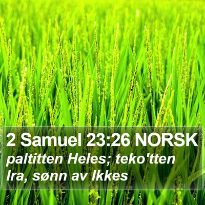 2 Samuel 23:26 NORSK Bible Verse Image