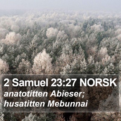 2 Samuel 23:27 NORSK Bible Verse Image