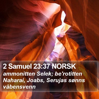 2 Samuel 23:37 NORSK Bible Verse Image