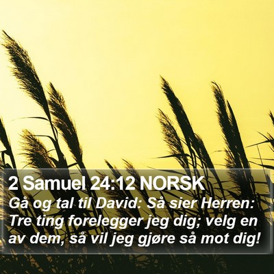2 Samuel 24:12 NORSK Bible Verse Image