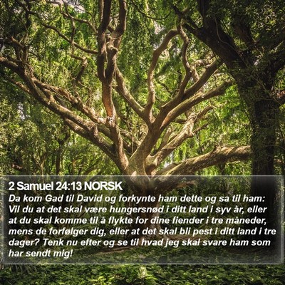 2 Samuel 24:13 NORSK Bible Verse Image