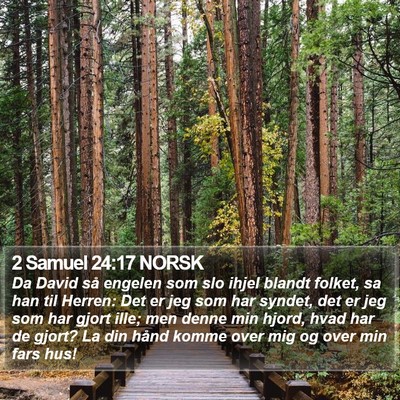 2 Samuel 24:17 NORSK Bible Verse Image