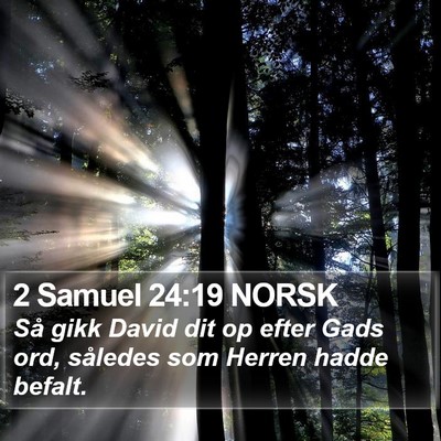 2 Samuel 24:19 NORSK Bible Verse Image