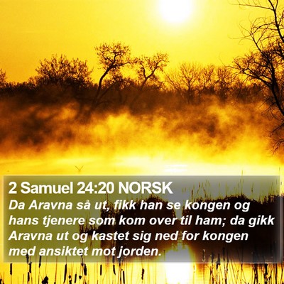 2 Samuel 24:20 NORSK Bible Verse Image