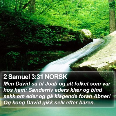 2 Samuel 3:31 NORSK Bible Verse Image