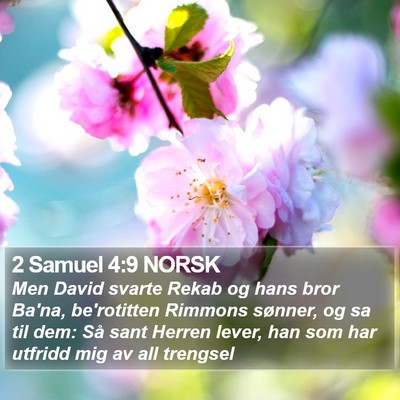 2 Samuel 4:9 NORSK Bible Verse Image