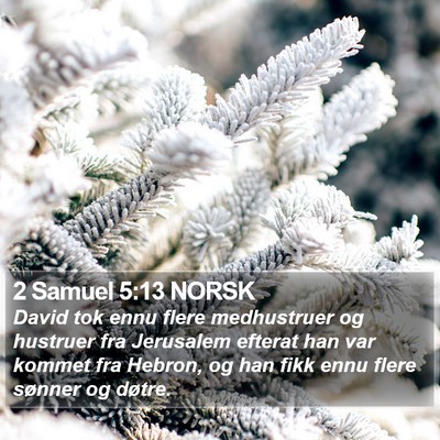 2 Samuel 5:13 NORSK Bible Verse Image