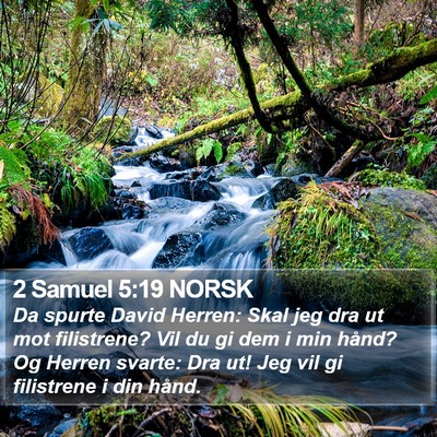 2 Samuel 5:19 NORSK Bible Verse Image