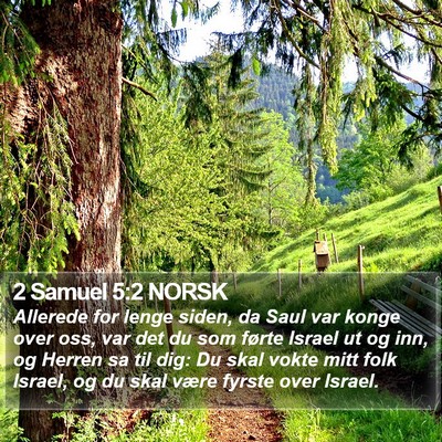 2 Samuel 5:2 NORSK Bible Verse Image