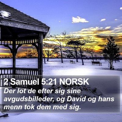 2 Samuel 5:21 NORSK Bible Verse Image