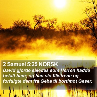 2 Samuel 5:25 NORSK Bible Verse Image