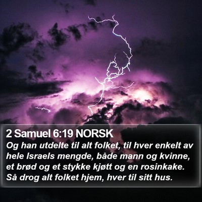 2 Samuel 6:19 NORSK Bible Verse Image