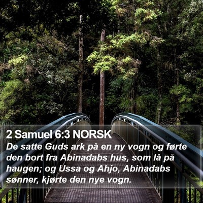 2 Samuel 6:3 NORSK Bible Verse Image