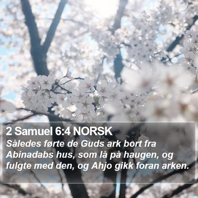 2 Samuel 6:4 NORSK Bible Verse Image