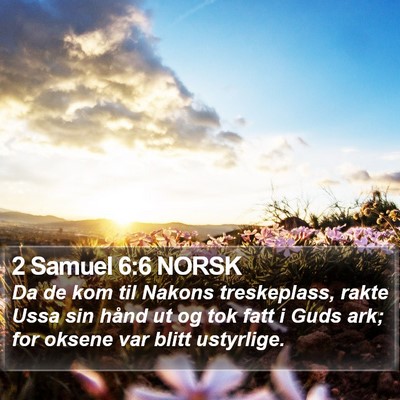 2 Samuel 6:6 NORSK Bible Verse Image