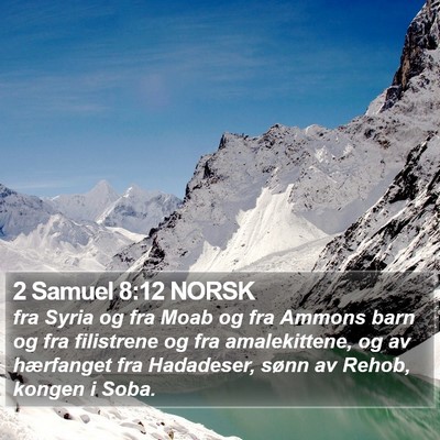 2 Samuel 8:12 NORSK Bible Verse Image
