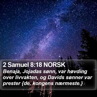 2 Samuel 8:18 NORSK Bible Verse Image