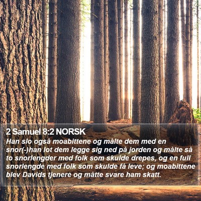 2 Samuel 8:2 NORSK Bible Verse Image
