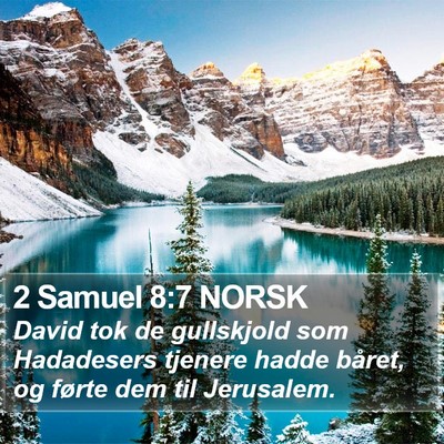 2 Samuel 8:7 NORSK Bible Verse Image