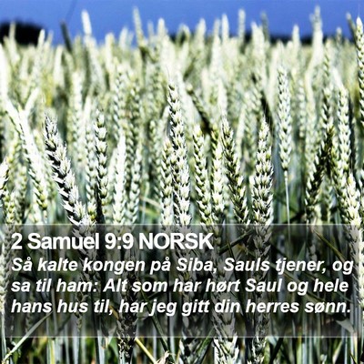 2 Samuel 9:9 NORSK Bible Verse Image