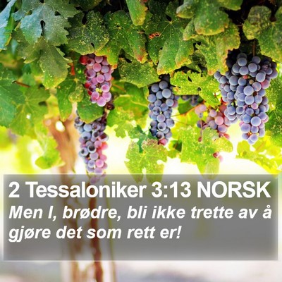 2 Tessaloniker 3:13 NORSK Bible Verse Image