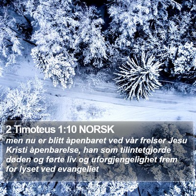 2 Timoteus 1:10 NORSK Bible Verse Image