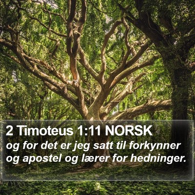 2 Timoteus 1:11 NORSK Bible Verse Image