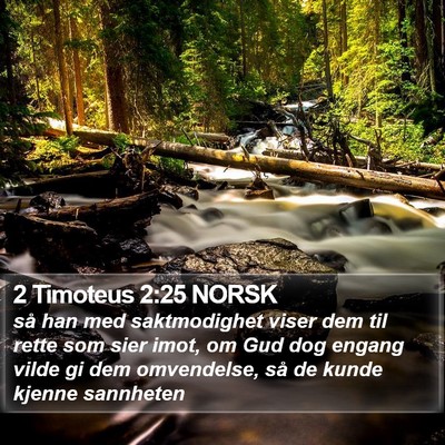 2 Timoteus 2:25 NORSK Bible Verse Image