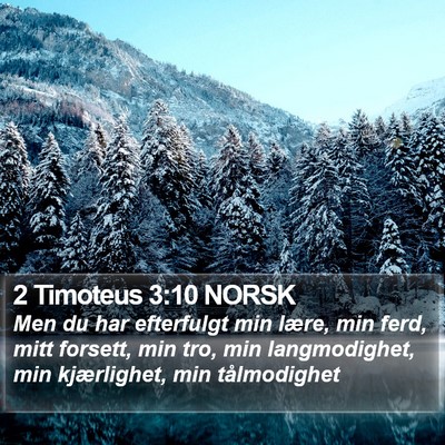 2 Timoteus 3:10 NORSK Bible Verse Image