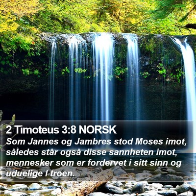 2 Timoteus 3:8 NORSK Bible Verse Image