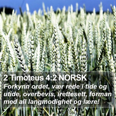 2 Timoteus 4:2 NORSK Bible Verse Image