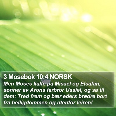 3 Mosebok 10:4 NORSK Bible Verse Image