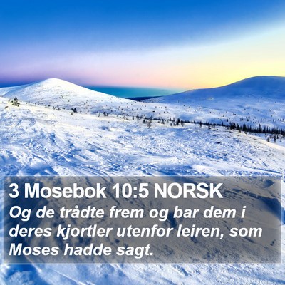 3 Mosebok 10:5 NORSK Bible Verse Image