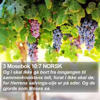3 Mosebok 10:7 NORSK Bible Verse Image