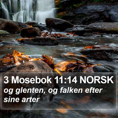 3 Mosebok 11:14 NORSK Bible Verse Image