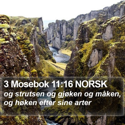 3 Mosebok 11:16 NORSK Bible Verse Image