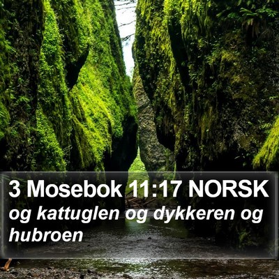 3 Mosebok 11:17 NORSK Bible Verse Image