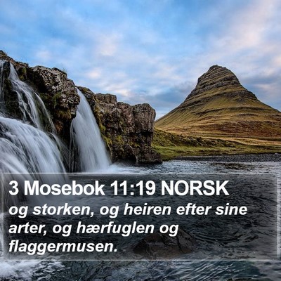 3 Mosebok 11:19 NORSK Bible Verse Image