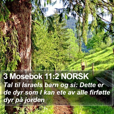 3 Mosebok 11:2 NORSK Bible Verse Image