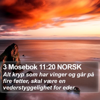 3 Mosebok 11:20 NORSK Bible Verse Image